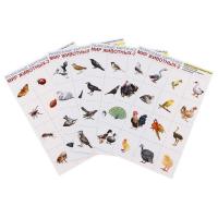 Набор разрезанных карточек "Мир животных-2"