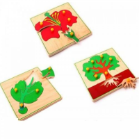 Комплект рамок-вкладышей "Биология" (3 шт)