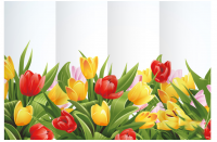Декорация (задник сцены) "Весенние тюльпаны"