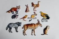 Набор "Животные степи", 10 шт.