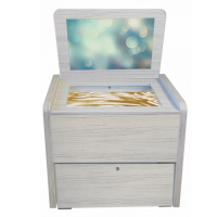 Сундучок логопеда "Антошка" (песочница, игры, материалы)