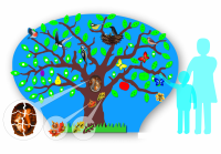 ОБРАЗОВАТЕЛЬНЫЙ НАСТЕННЫЙ МОДУЛЬ «УМНОЕ ДЕРЕВО»