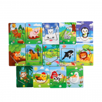 Головоломка «Досочки Сегена»