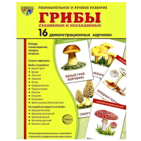 Дидактические карточки "Грибы" (16 шт.)