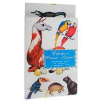 Дидактические карточки "Животные Южной Америки"