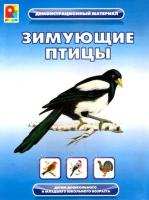 Демонстрационный материал "Зимующие птицы"