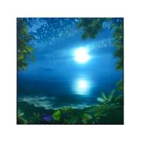 Панель с динамической светодиодной подсветкой ДН-Галактика (100х200 см)