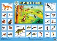 Обучающий плакат "Животные"