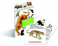 Дидактические карточки "Животные Азии"