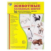Дидактические карточки "Животные холодных широт"